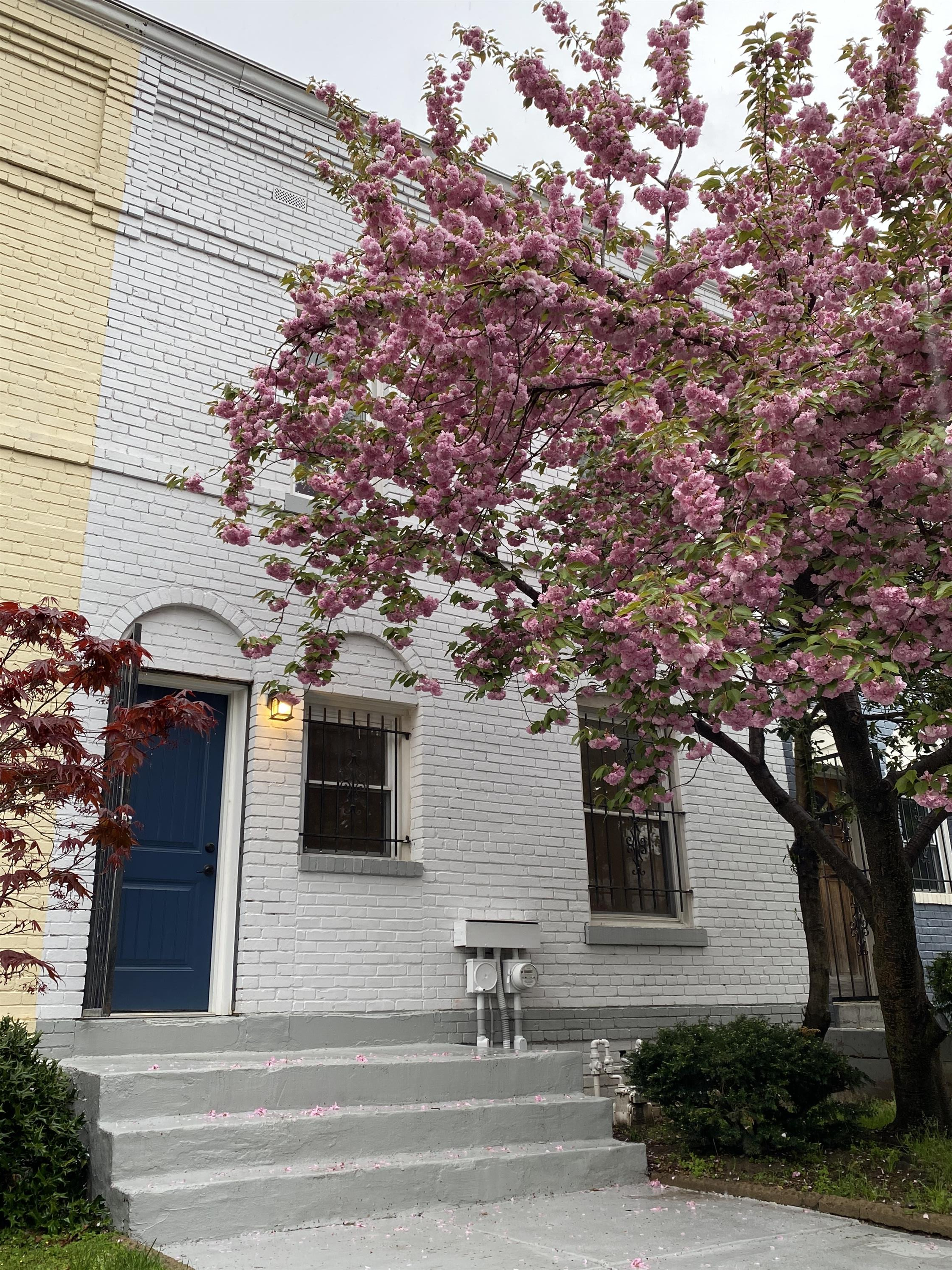 1238 ½ Street Southwest - 1